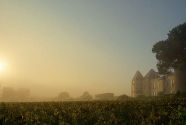 étalonnage Château Yquem