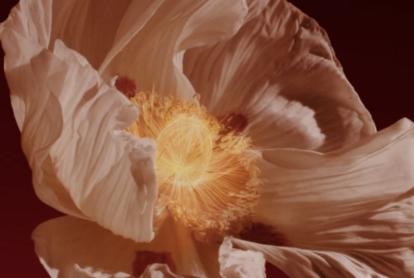vfx Givenchy